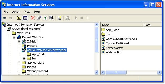 iis_webservices